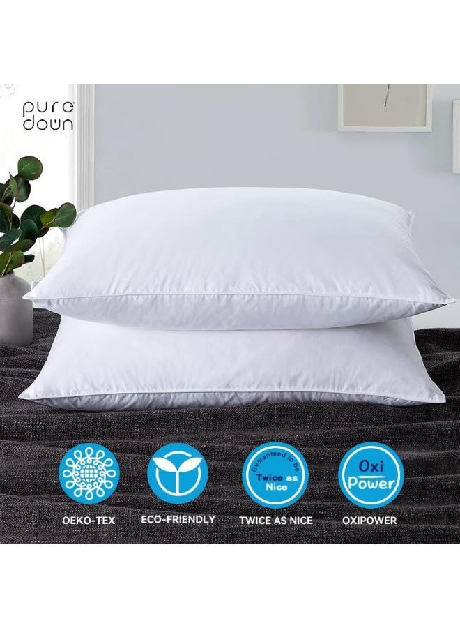 Feather and Down Pillow Set of 2 Standard