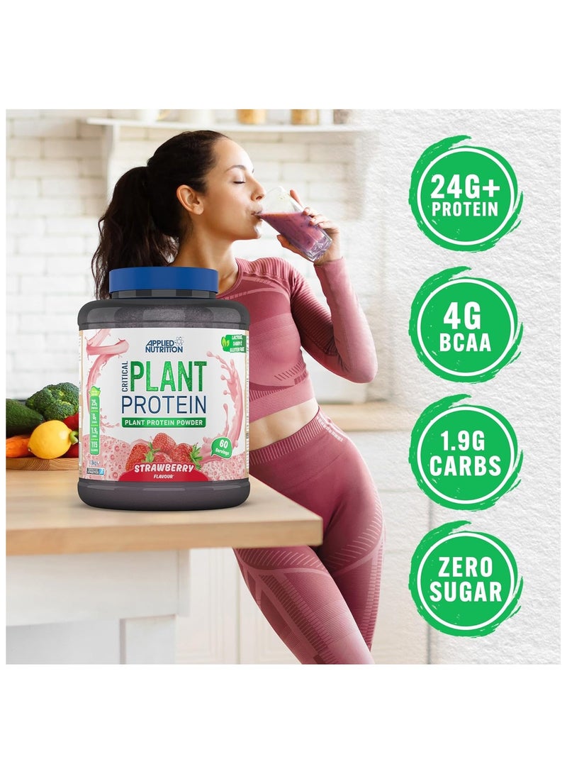 Critical Plant Vegan Protein Powder Strawberry Flavour 60 Servings 1.8 kg