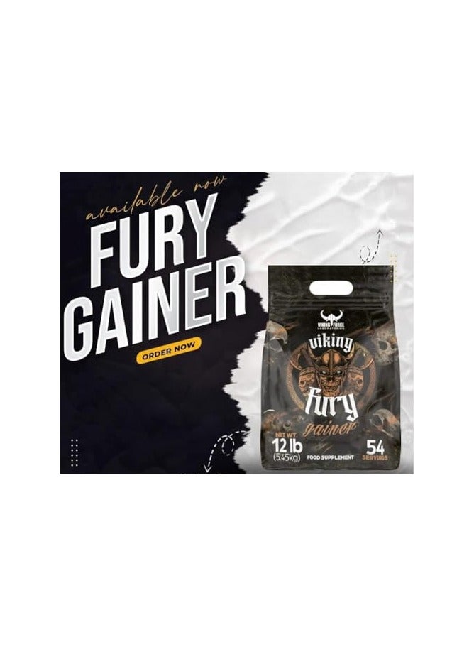 VIKING Fury Gainer ultimate in weight gain formulas (5.45 kg) (Blueberry)