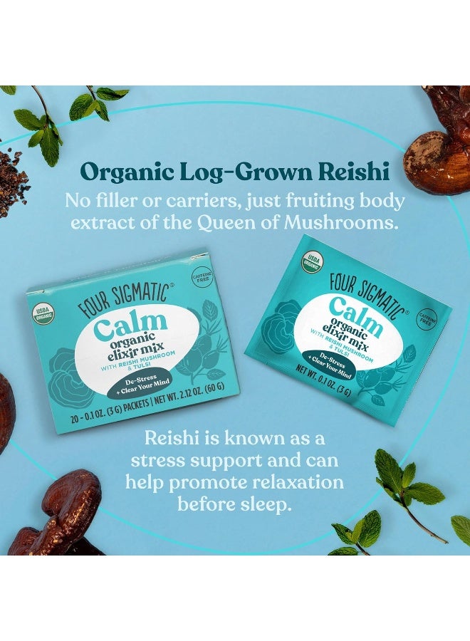Reishi Mushroom Elixir Mix 20 Packet(S)