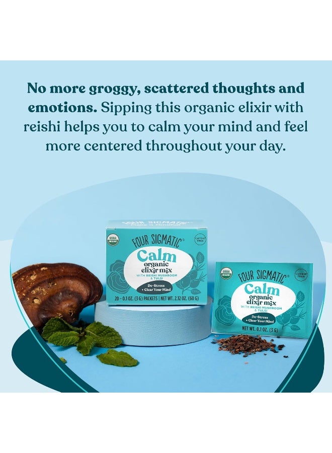 Reishi Mushroom Elixir Mix 20 Packet(S)