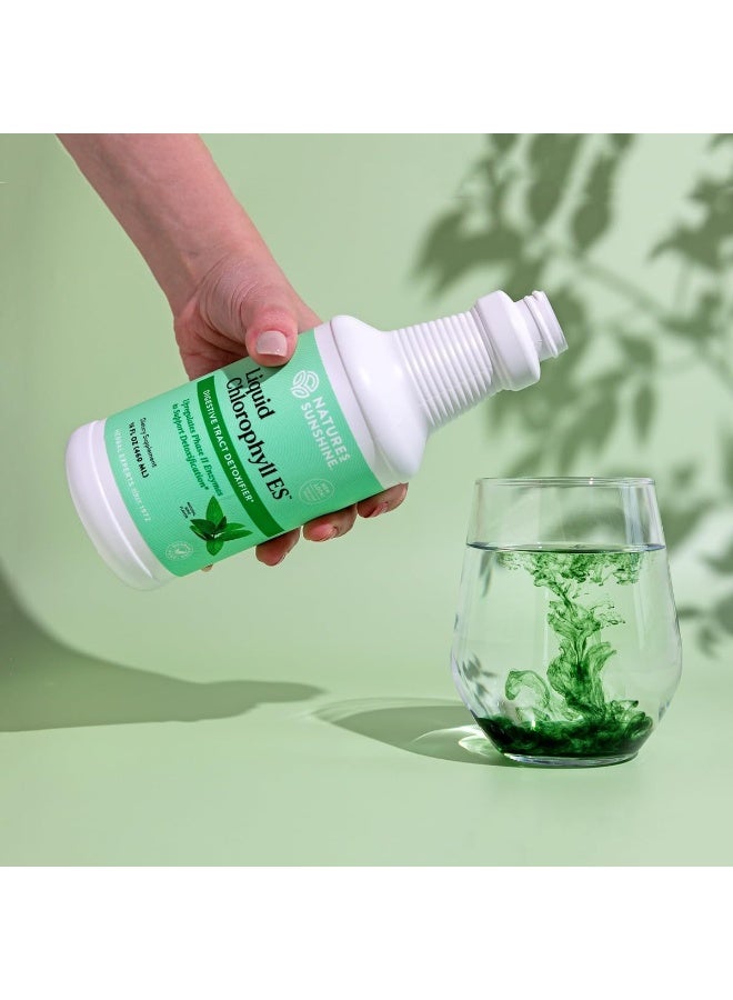 Liquid Chlorophyll Extra Strength Immunity Support Detox & Cleanse Chlorophyll Liquid Drops With Spearmint Oil Natural Energy Boost Internal Deodorant 16 Fl Oz