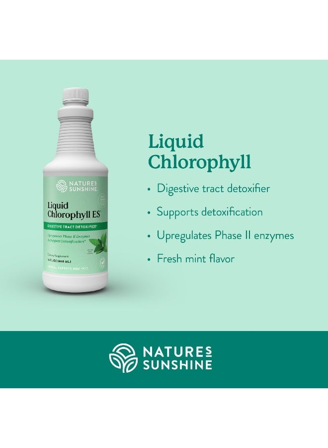 Liquid Chlorophyll Extra Strength Immunity Support Detox & Cleanse Chlorophyll Liquid Drops With Spearmint Oil Natural Energy Boost Internal Deodorant 16 Fl Oz