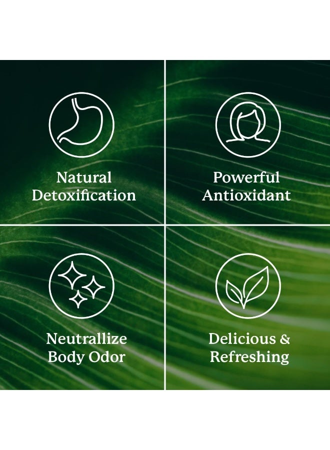 Liquid Chlorophyll Extra Strength Immunity Support Detox & Cleanse Chlorophyll Liquid Drops With Spearmint Oil Natural Energy Boost Internal Deodorant 16 Fl Oz