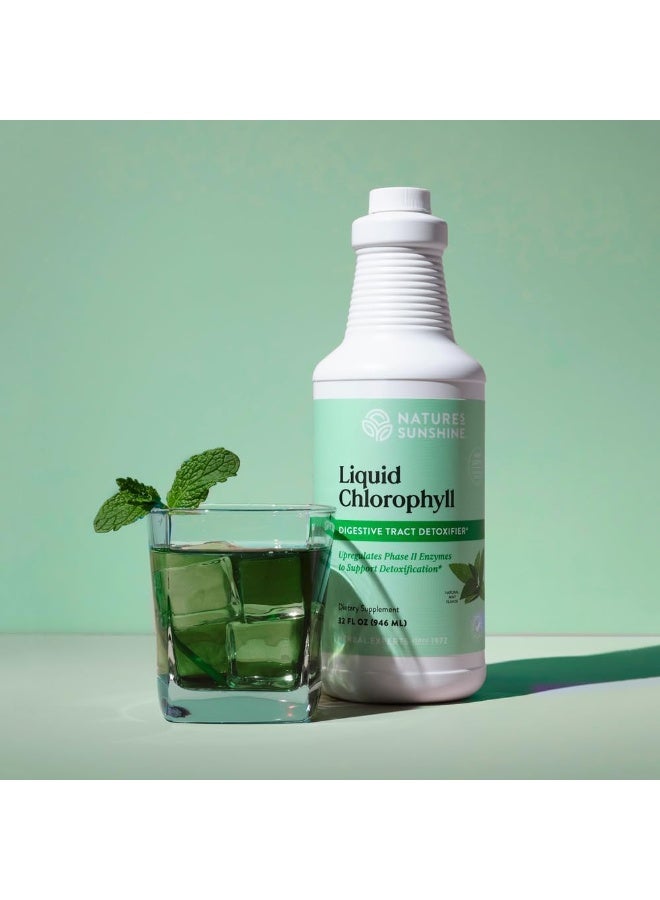 Liquid Chlorophyll Extra Strength Immunity Support Detox & Cleanse Chlorophyll Liquid Drops With Spearmint Oil Natural Energy Boost Internal Deodorant 16 Fl Oz