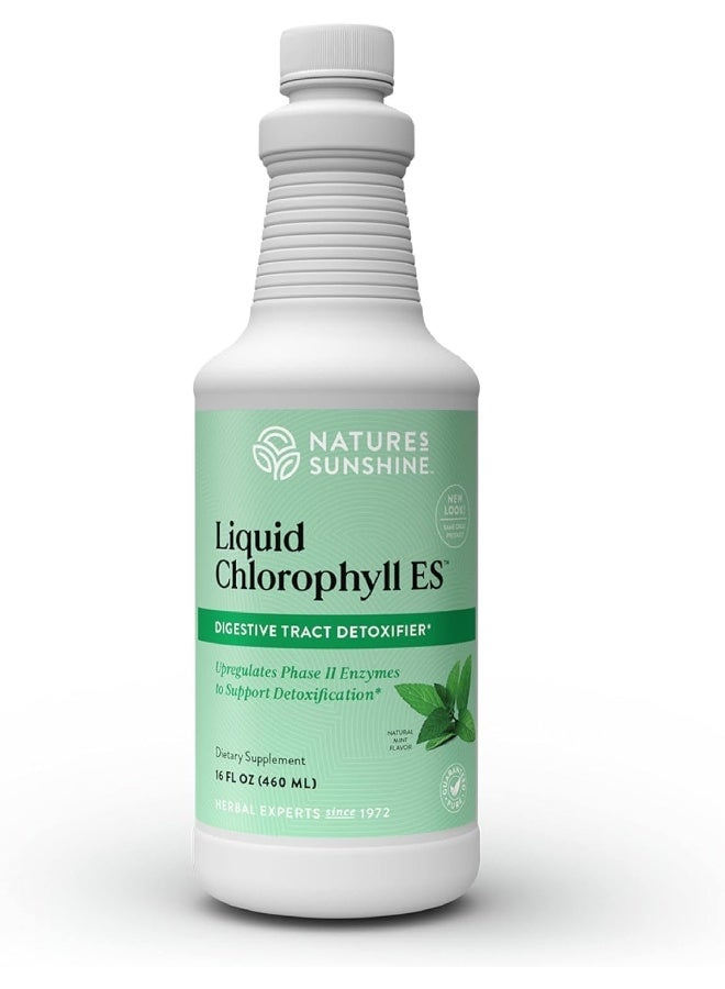 Liquid Chlorophyll Extra Strength Immunity Support Detox & Cleanse Chlorophyll Liquid Drops With Spearmint Oil Natural Energy Boost Internal Deodorant 16 Fl Oz