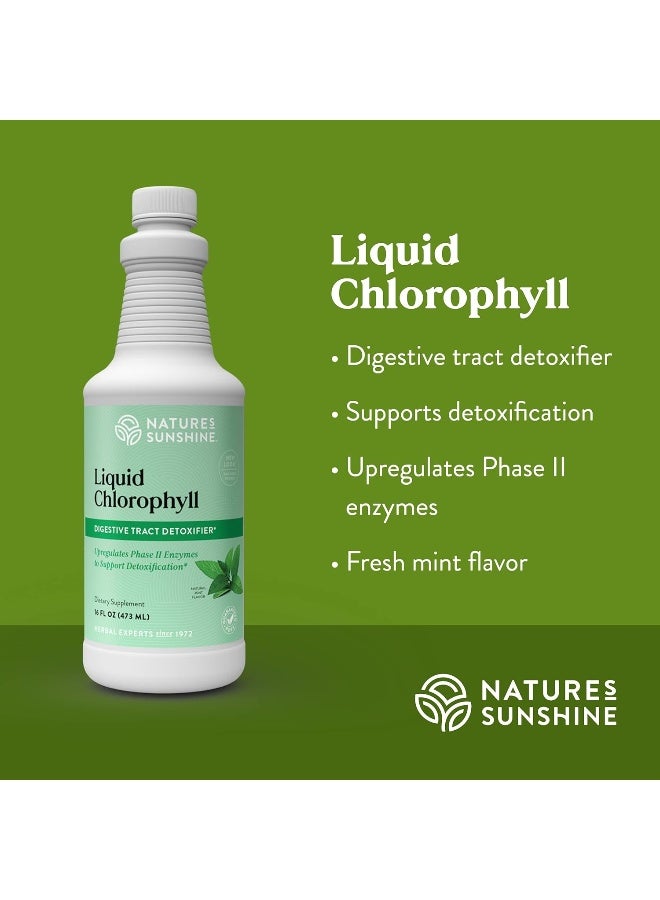 Liquid Chlorophyll Immunity Support Detox & Cleanse Chlorophyll Liquid Drops With Spearmint Oil Natural Energy Boost Internal Deodorant 16 Fl Oz