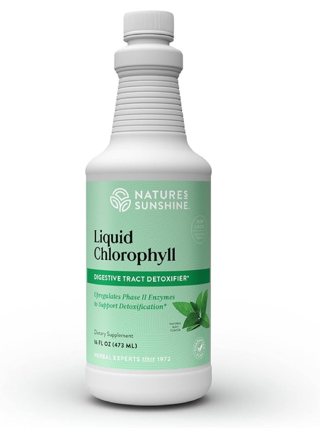 Liquid Chlorophyll Immunity Support Detox & Cleanse Chlorophyll Liquid Drops With Spearmint Oil Natural Energy Boost Internal Deodorant 16 Fl Oz