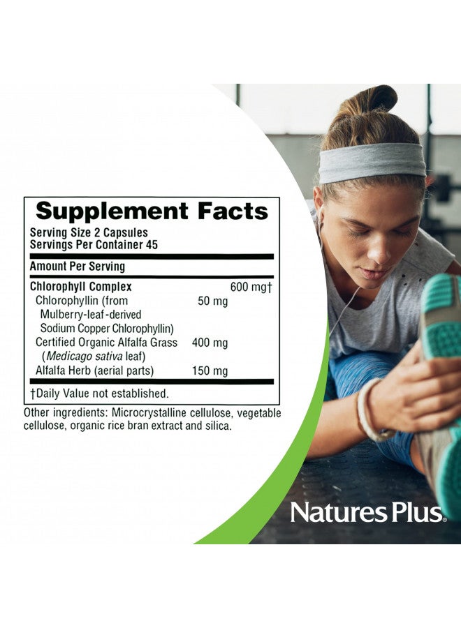 NaturesPlus Chlorophyll Complex - 90 Capsules - 600 mg of Organic Alfalfa - Superfood Supplement & Antioxidant - Immune System Support, Boost Energy - Gluten Free - 45 Servings