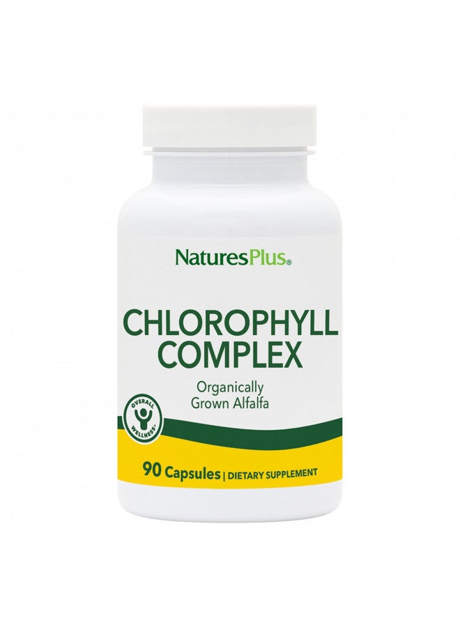 NaturesPlus Chlorophyll Complex - 90 Capsules - 600 mg of Organic Alfalfa - Superfood Supplement & Antioxidant - Immune System Support, Boost Energy - Gluten Free - 45 Servings