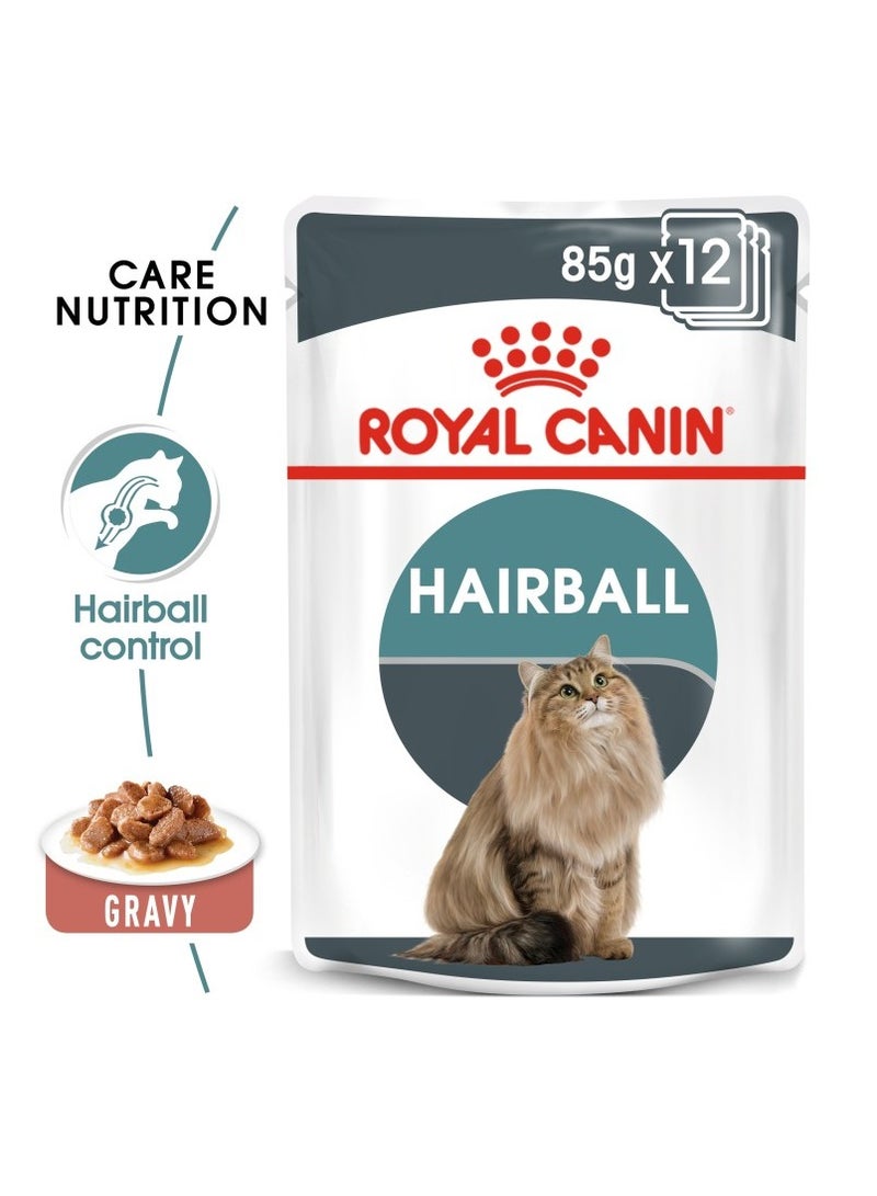 Feline Care Nutrition Hairball Gravy WET FOOD - Pouches 12 x 85g