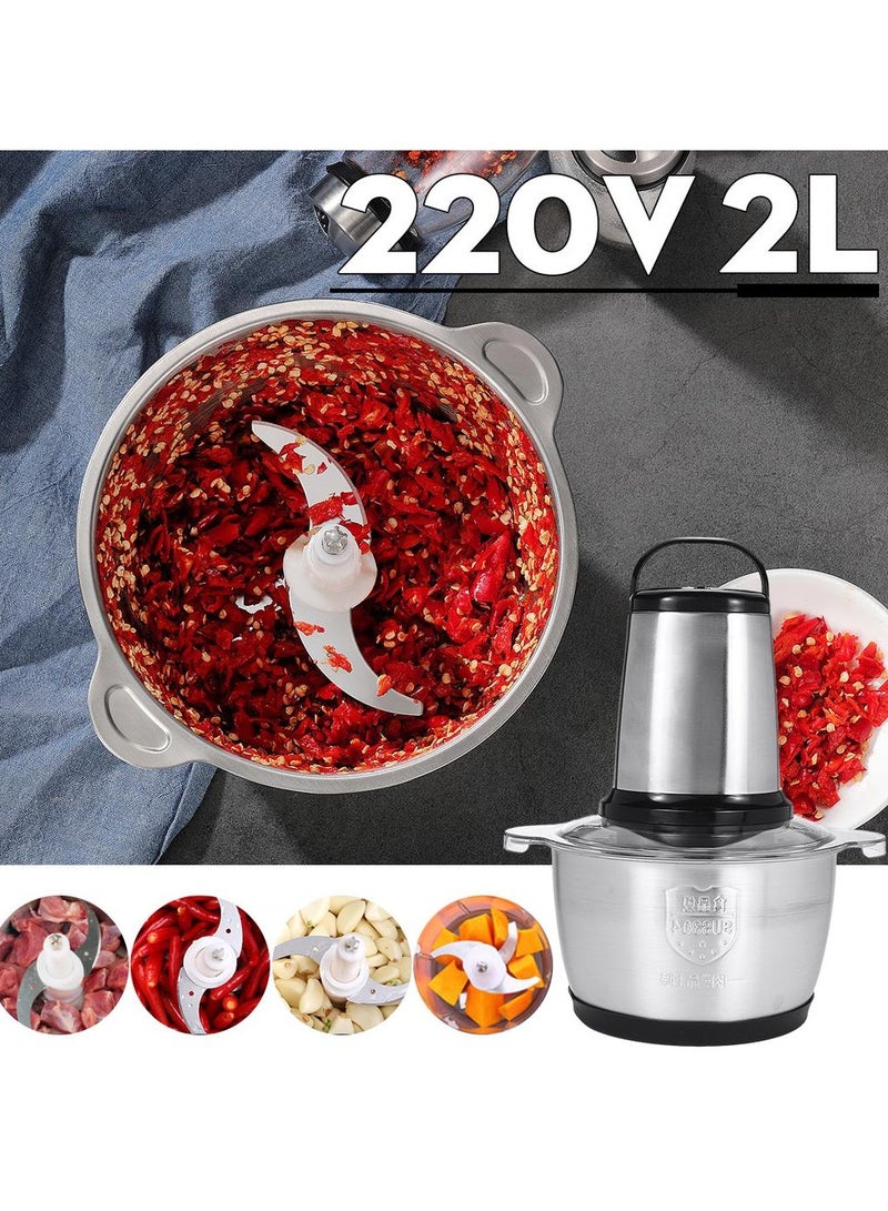 2 Speeds Stainless Steel Electric Chopper, 2L Meat Grinder Mincer Food Processor with Stainless Steel Blades, Multi-Function Kitchen Slicer for Vegetables, Fruits, and Meat