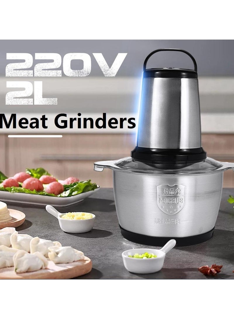 2 Speeds Stainless Steel Electric Chopper, 2L Meat Grinder Mincer Food Processor with Stainless Steel Blades, Multi-Function Kitchen Slicer for Vegetables, Fruits, and Meat