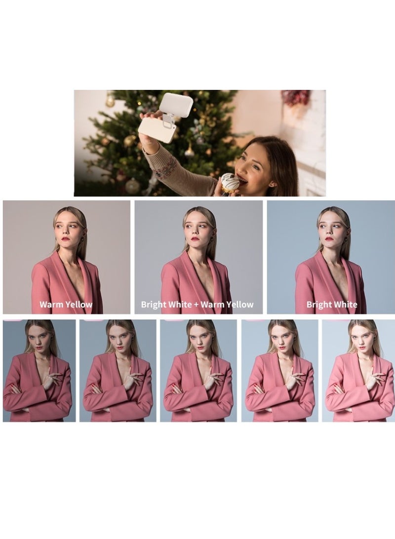 Photography Light Clip on Phone Laptop For Selfie Live Broadcasting Confrence Online Lesson Makeup Videos High Brightness 66 Beads Multiple Modes White