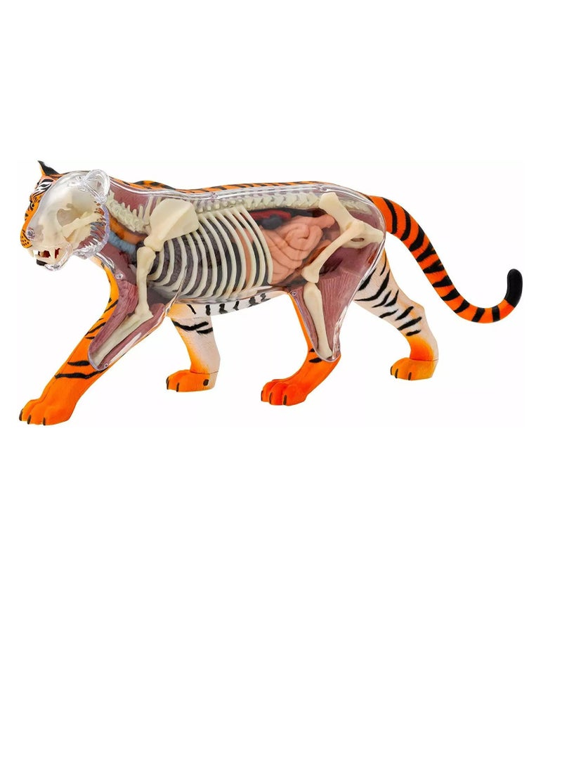 Thames & Kosmos Tiger: Tiger Anatomy Model to Explore the Inner Workings of a Tiger, STEM Learning Kit