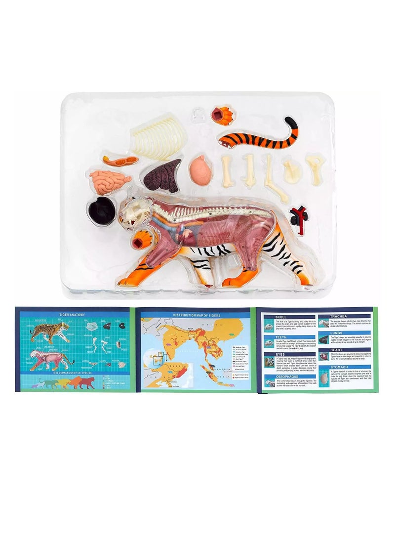 Thames & Kosmos Tiger: Tiger Anatomy Model to Explore the Inner Workings of a Tiger, STEM Learning Kit