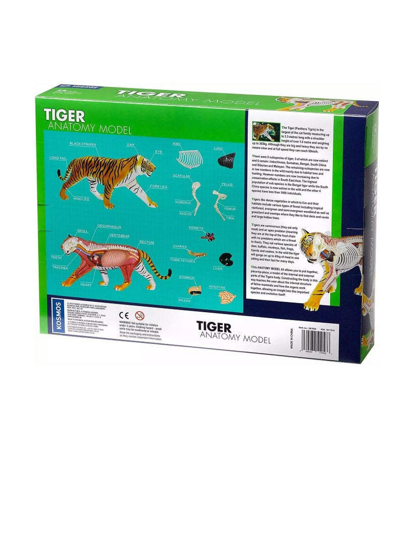 Thames & Kosmos Tiger: Tiger Anatomy Model to Explore the Inner Workings of a Tiger, STEM Learning Kit