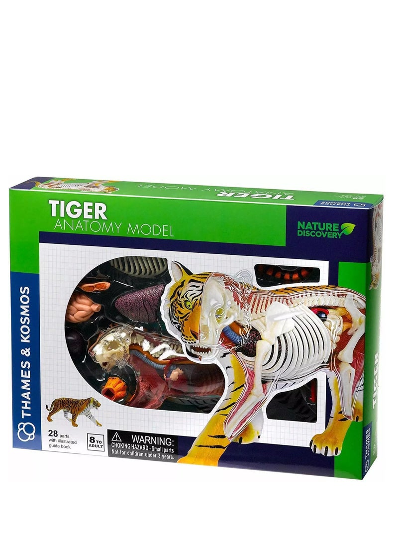 Thames & Kosmos Tiger: Tiger Anatomy Model to Explore the Inner Workings of a Tiger, STEM Learning Kit