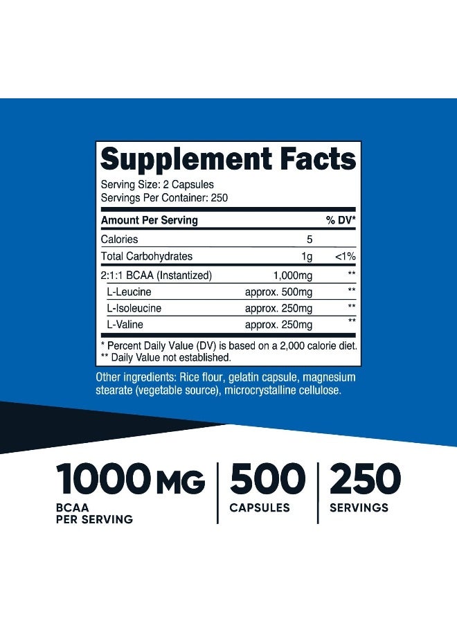 Bcaa Capsules 2:1:1 500Mg 500 Caps