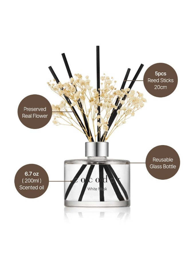 Preserved Real Flower Reed Diffuser Black Cherry 6.7Oz 200Ml 1 Pack Reed Diffuser Set Oil Diffuser And Reed Diffuser Sticks Home Decor And Office Decor Fragrance And Gifts