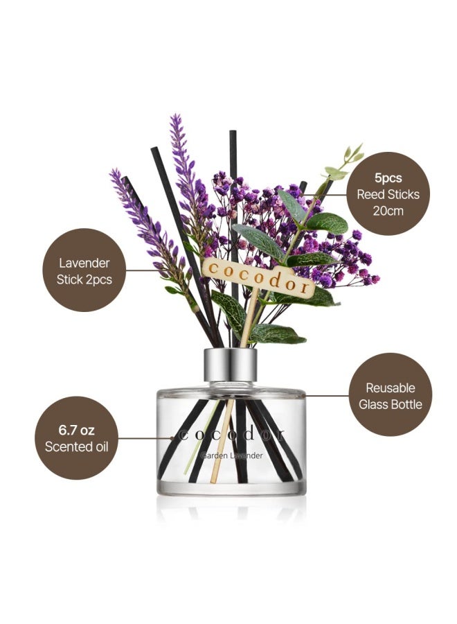 Cocodor Lavender Reed Diffuser Garden Lavender 67 Oz 200Ml 1 Pack Home Decor And Office Decor Fragrance And Gifts