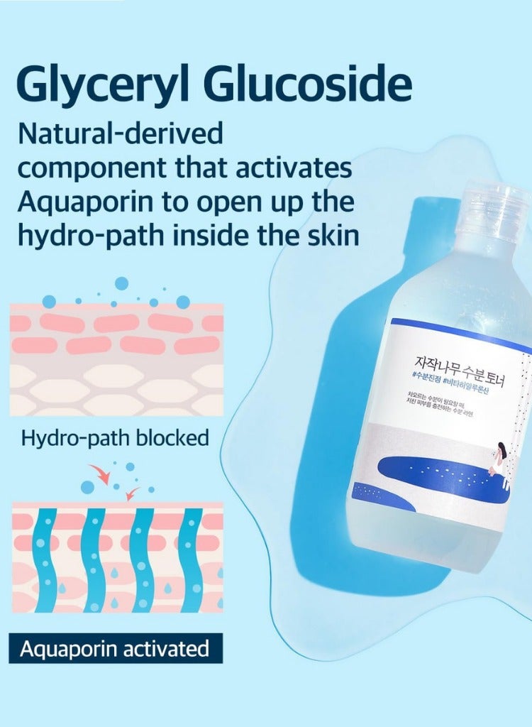 ROUND LAB Birch Juice Hydration & Protection Pack – Includes Birch Juice Moisturizing Cream 80ml, Birch Juice Serum 50ml with SPF50+ PA++++, and Birch Juice Moisturizing Toner 300ml | Vita Hyaluronic Acid, Moisture Filling, Hydrating Cream, Moisturizing Sunscreen (No White Cast, Strong UV Protection, Moist Essence Type, Ocean Friendly-Reef Safe), Alcohol-Free, Fragrance & Essential Oil-Free Toner