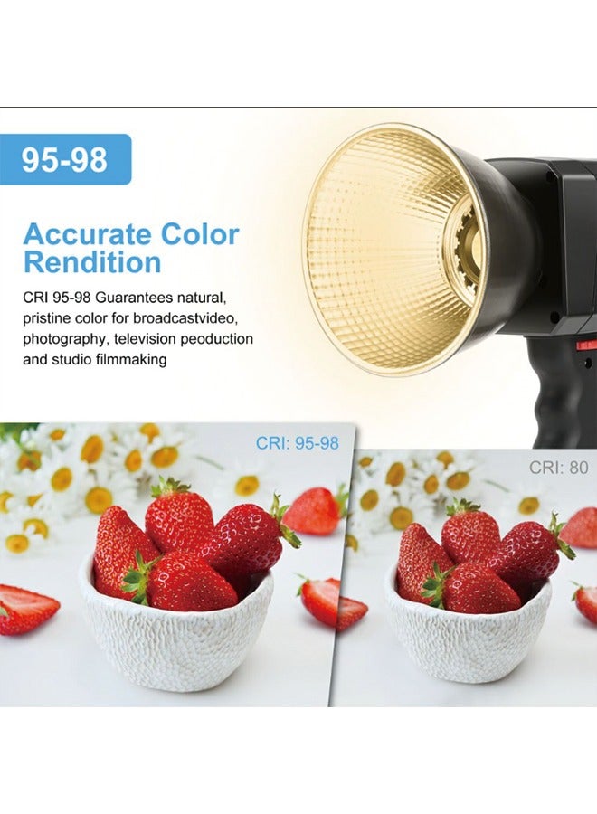 PULUZ 60W COB Handheld Photography Live Streaming Vlog Video Recording Bi-Color LED Light (Color: Black)
