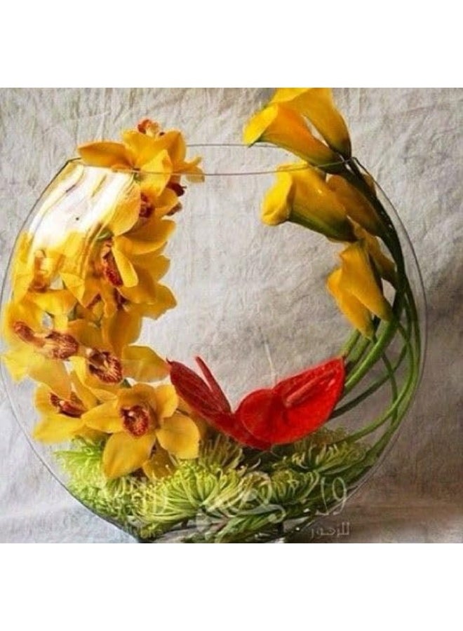 Glass Fish Bowl Transparent 25X25X25Cm