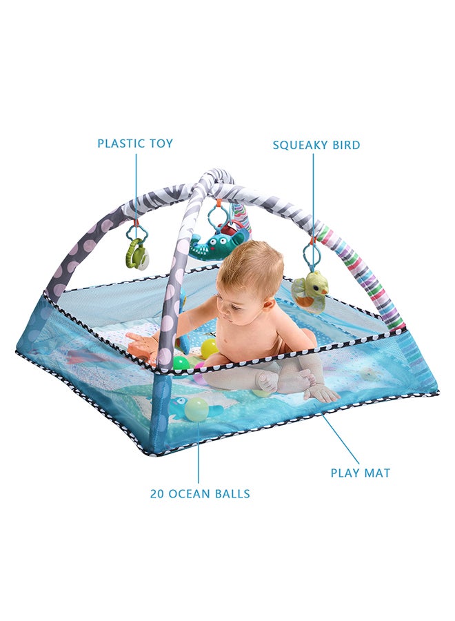 Baby Play Mat Activity Gym With Ball Pit