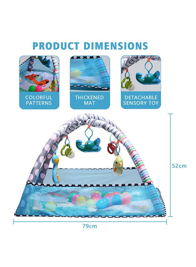 Baby Play Mat Activity Gym With Ball Pit