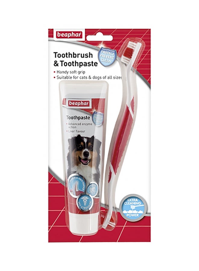 Toothbrush And Toothpaste Combipack White 31cm