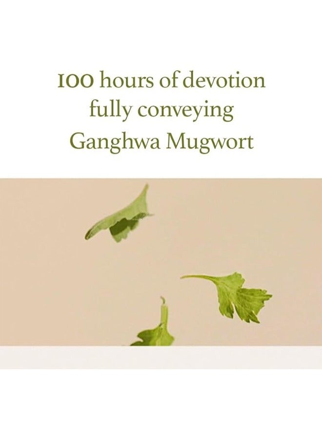 Mugwort Gel Cleanser 150ml, Mugwort Extract 60%, Natural Herbal Cleanser, Calming and Soothing Skin, Micro Cleansing Gel Suitable for All Kinds of Skin