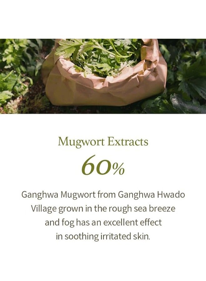 Mugwort Gel Cleanser 150ml, Mugwort Extract 60%, Natural Herbal Cleanser, Calming and Soothing Skin, Micro Cleansing Gel Suitable for All Kinds of Skin