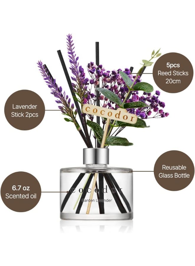 Cocod'Or Cocodor Lavender Reed Diffuser/Garden Lavender / 6.7Oz(200Ml) / 2 Pack/Home Decor And Office Decor, Fragrance And Gifts