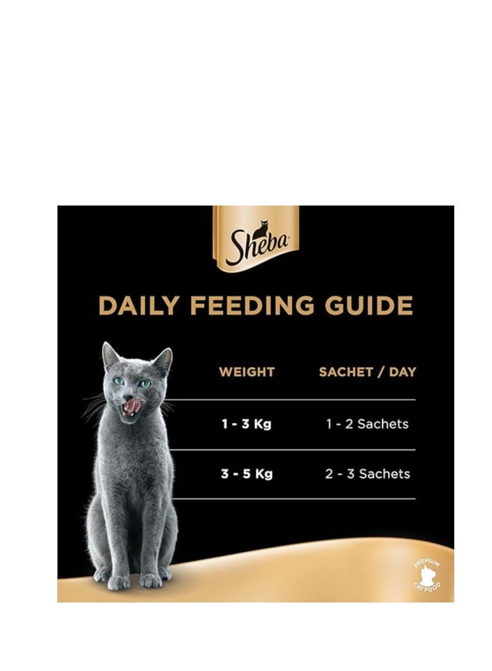 Sheba Cat wet Food, Melty Mixed Creamy Treats Tuna & Seafood Flavor, 2 Pouches Tuna, Tuna&Seafood, Pack of 48x12g