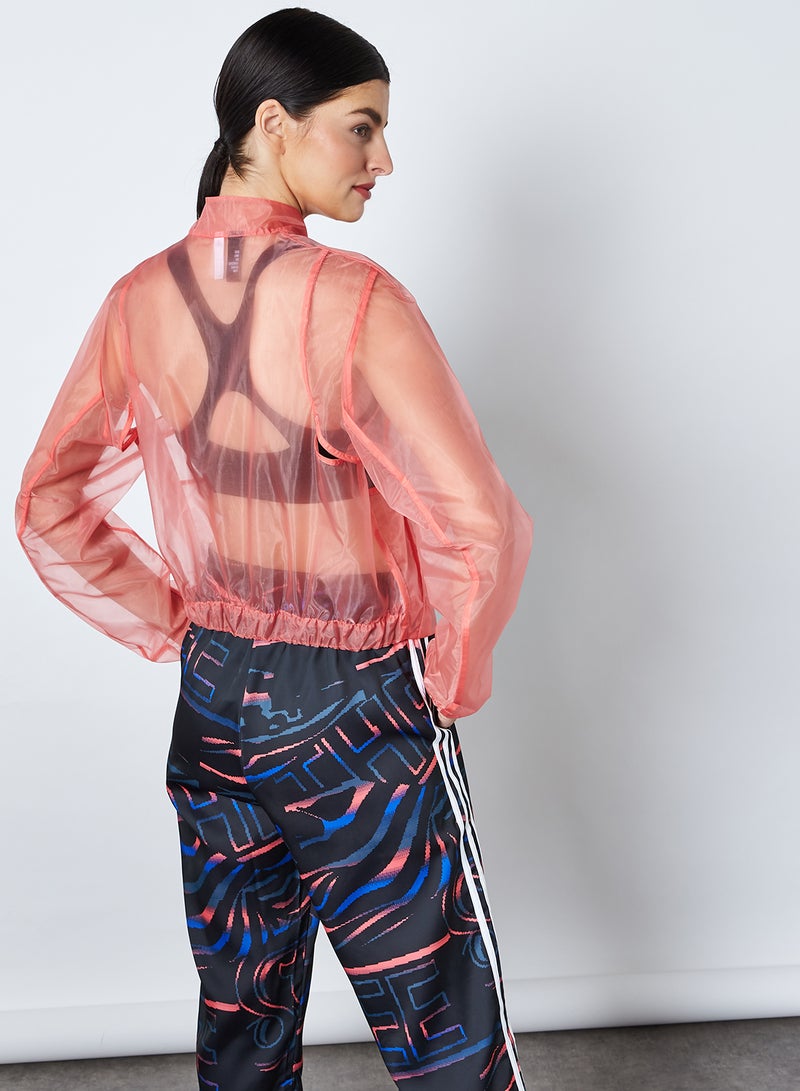 Sheer Varsity Jacket Seflre