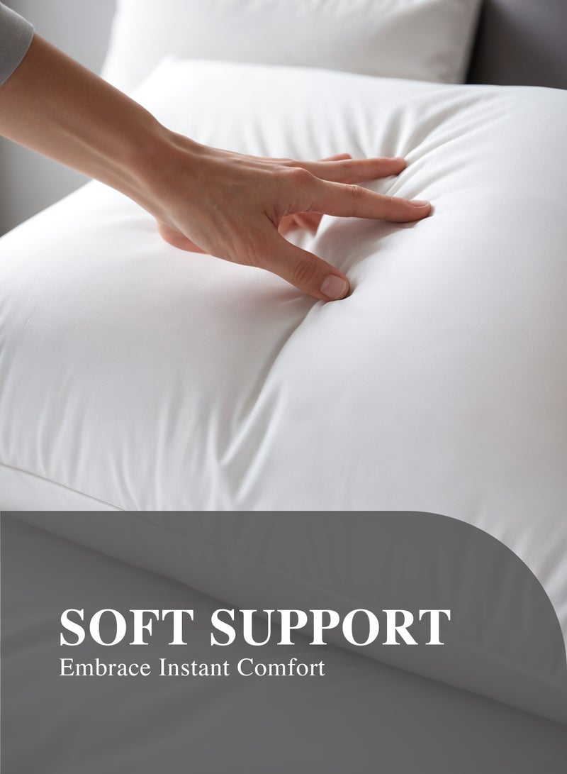 Cozy Comfort 4 Piece Pillow & Cushion set, 2 Pillow 50x70, 2 Cushion 40x40