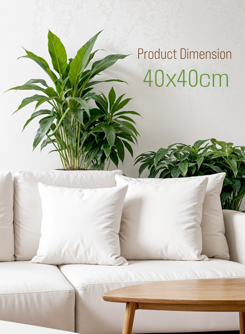 Cozy Comfort 4 Piece Pillow & Cushion set, 2 Pillow 50x70, 2 Cushion 40x40