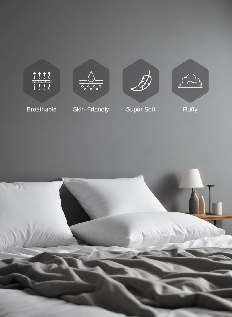 Cozy Comfort 4 Piece Pillow & Cushion set, 2 Pillow 50x70, 2 Cushion 40x40