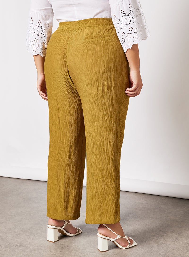 Plus Size Textured Straight Fit Pants Green