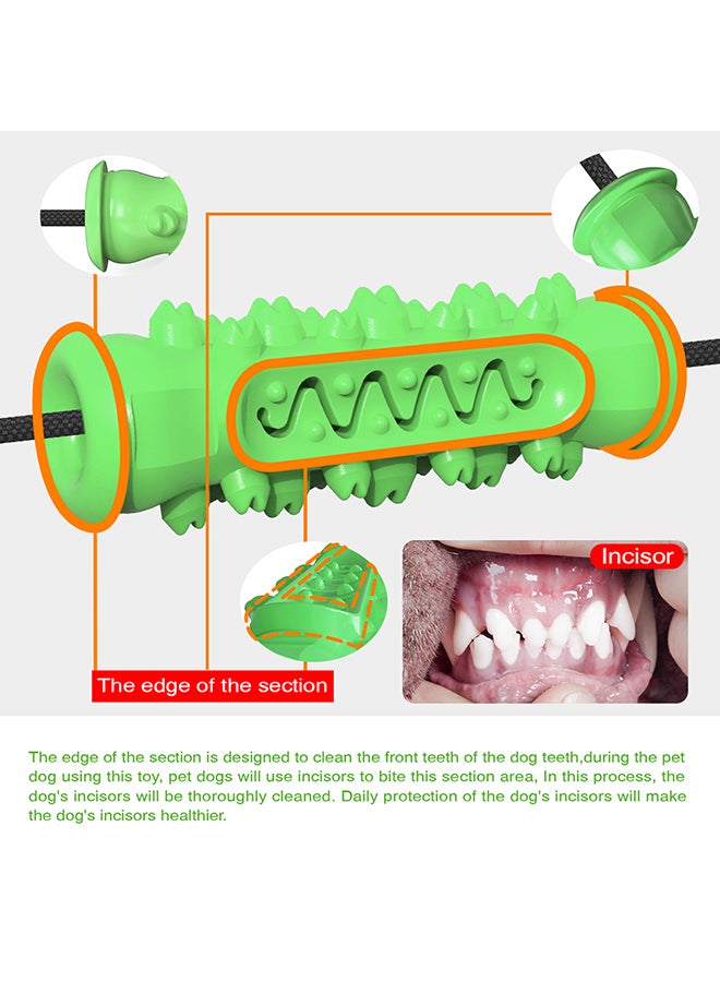 Molar Bite Chew Toy Green/Black 25x18x9cm