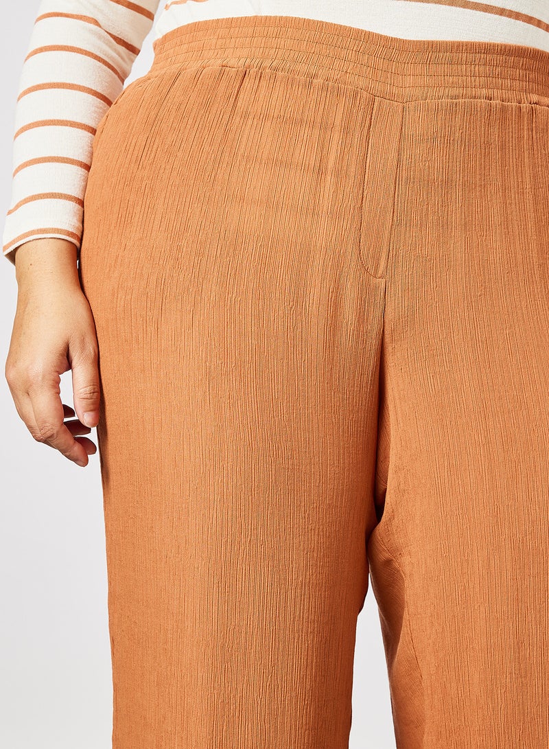 Plus Size Textured Straight Fit Pants Burnt Orange