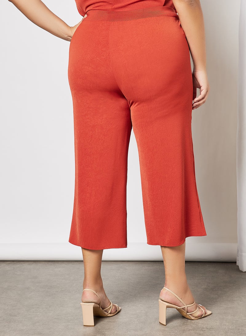 Plus Size Crinkle-Effect Cropped Pants Brown