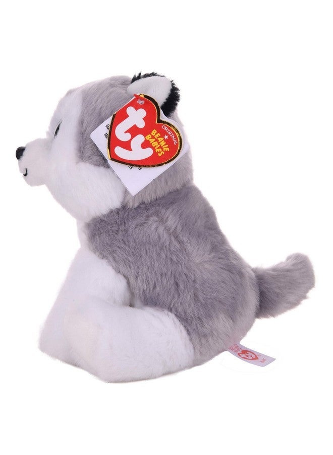 Beanie Baby Buff The Husky Dog