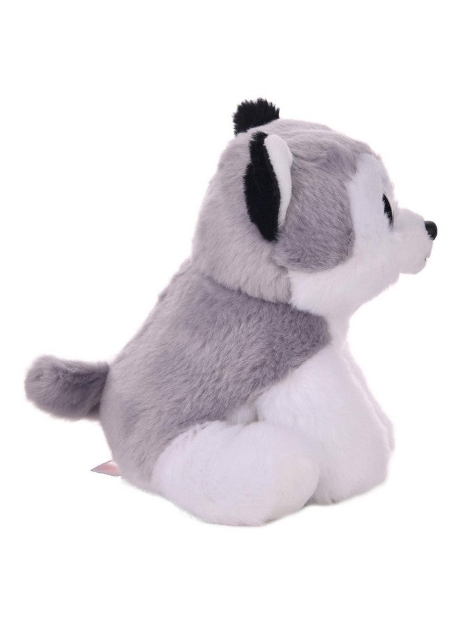 Beanie Baby Buff The Husky Dog