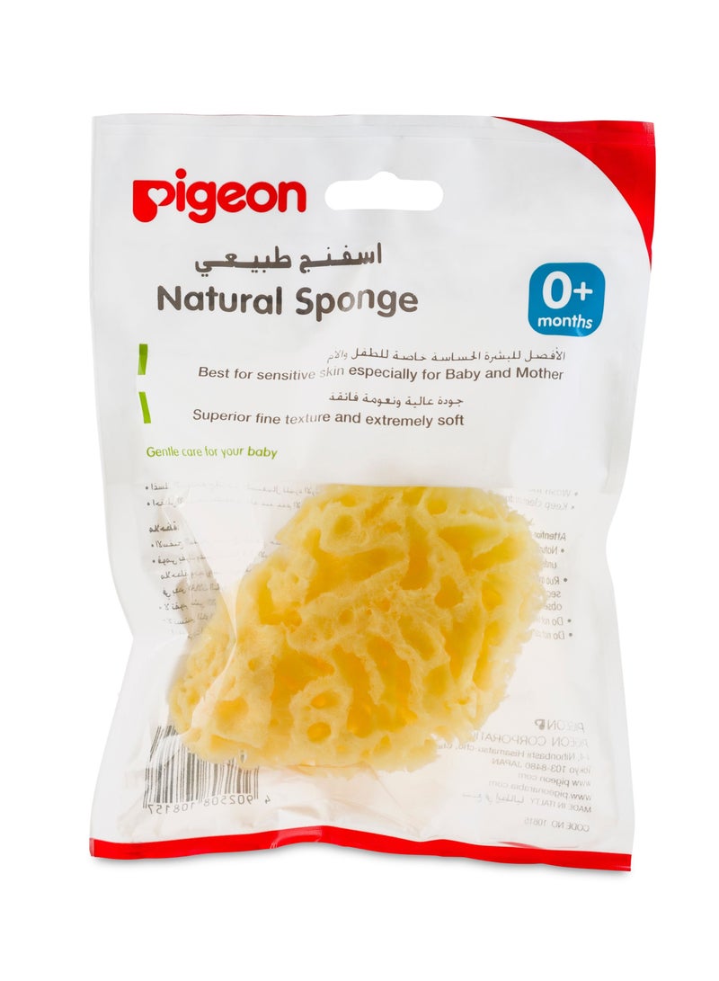 Pigeon Natural Sponge Large 1 pc