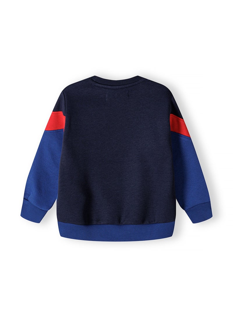 Kids Fleece Sweatshirt And Jogpant Set