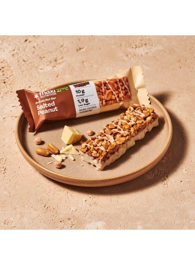 Salted Peanut Protein Nut Bar