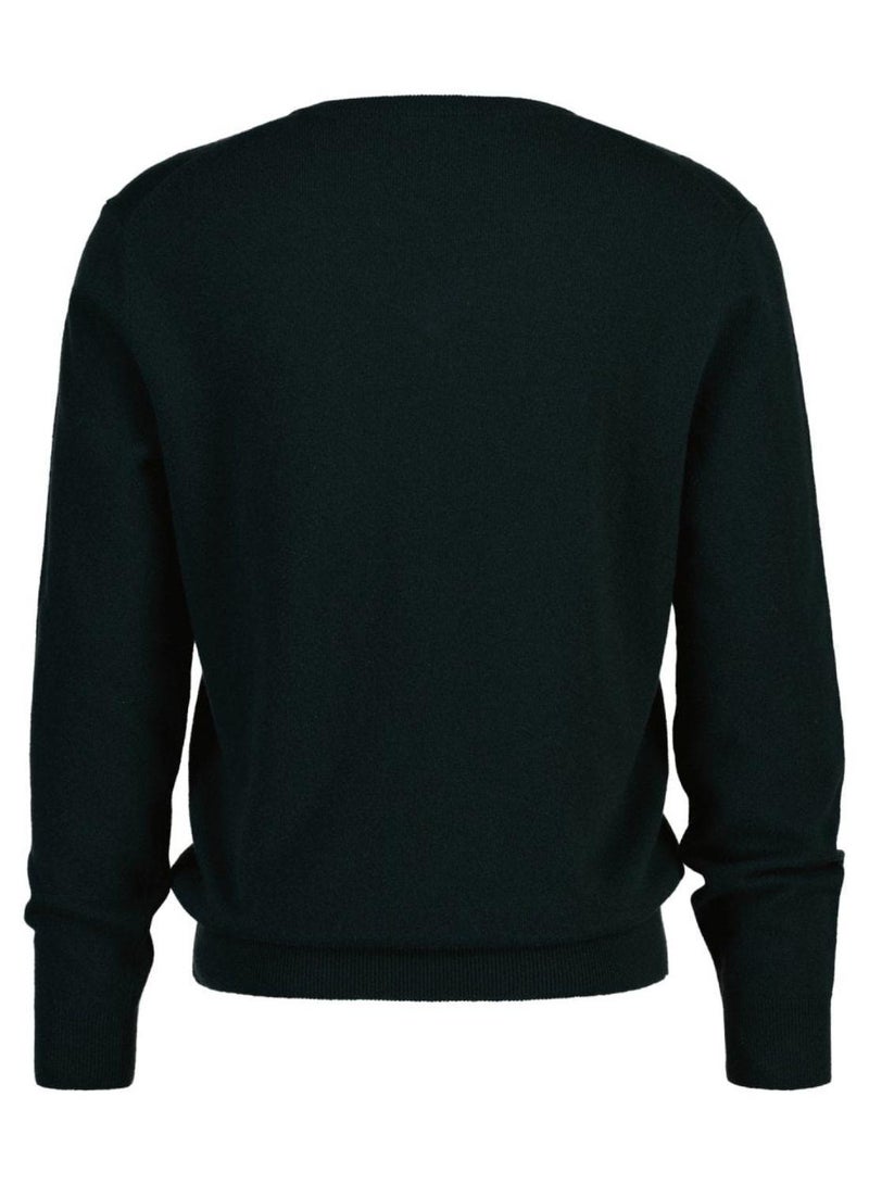 Extra Fine Lambswool V-Neck Sweater