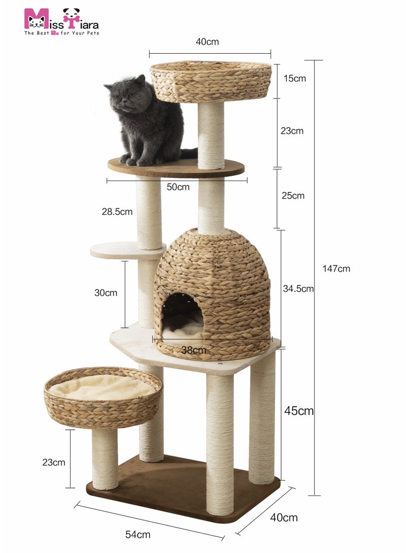 Modern Cat Tree Tower for Large Cats, Cat Furniture Scratching Tree for Indoor Cat, Real Natural Water Hyacinth Cat Condo, Manual Hand Woven Tall Wood Cat House, New Cat Condo Unique Cat Gift